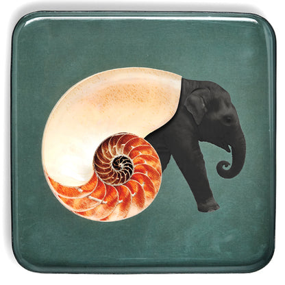 Vide de poche carré Shellelephant