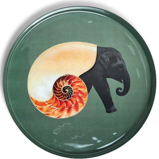 Plateau Rond Shellelephant