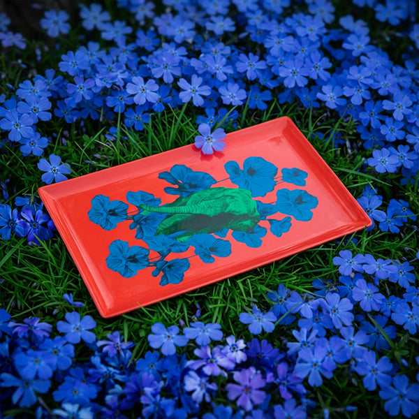 Plateau Poppy
