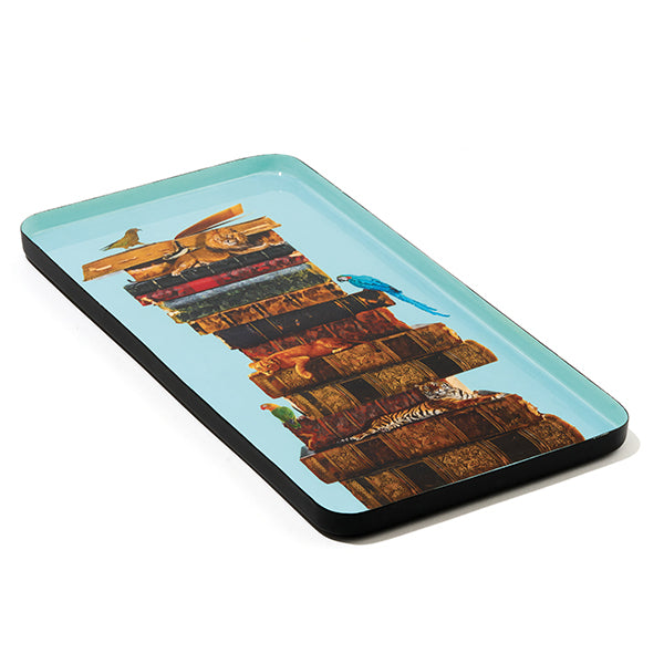 Plateau Anibook