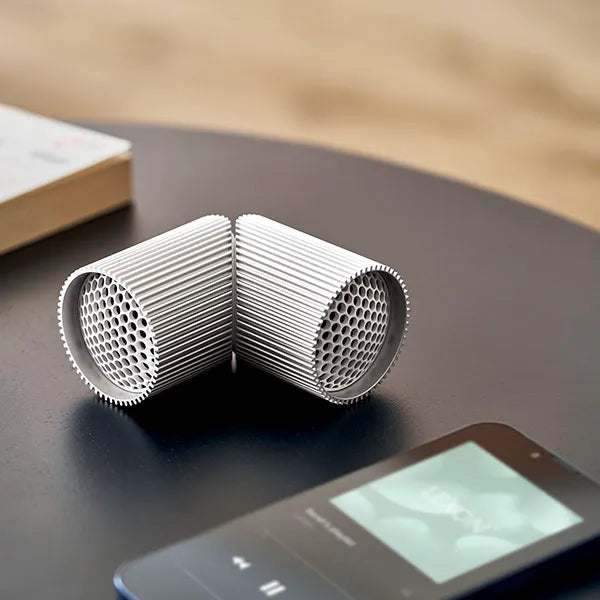 Ray Speaker
