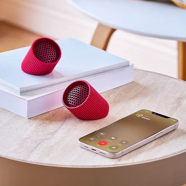 Ray Speaker