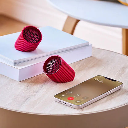 Ray Speaker