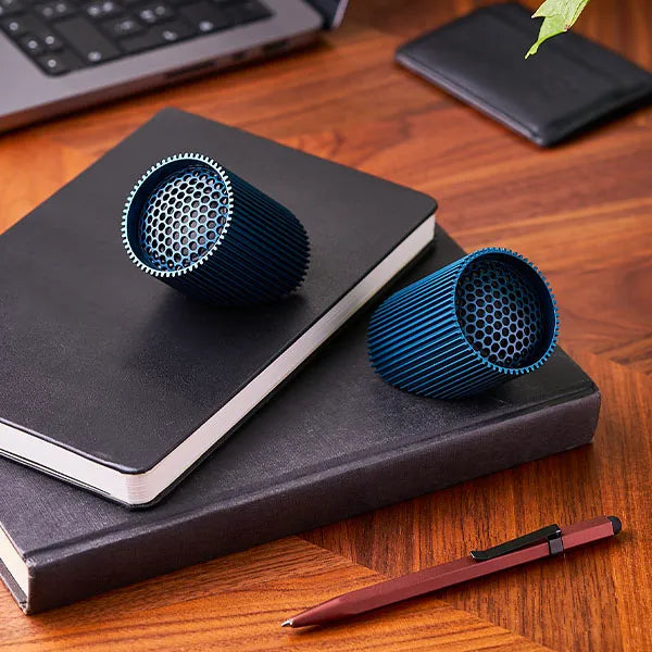Ray Speaker