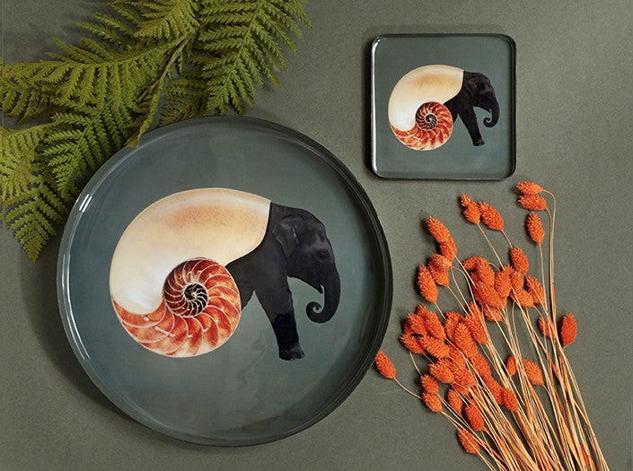 Vide de poche carré Shellelephant