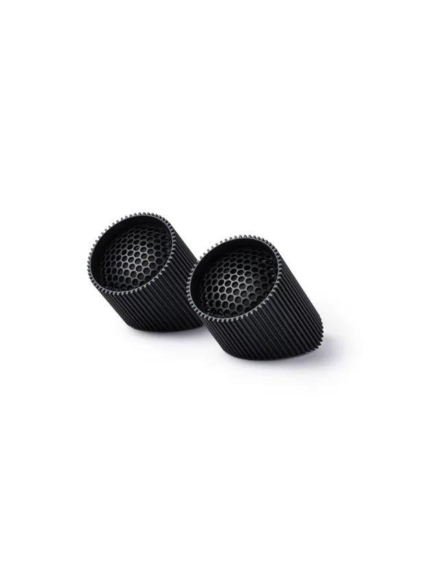 Ray Speaker