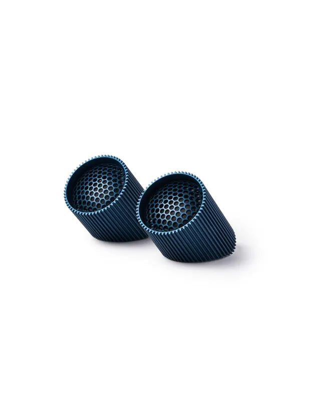Ray Speaker