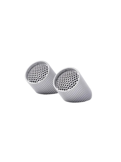 Ray Speaker