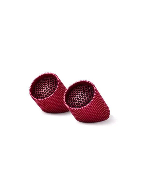 Ray Speaker